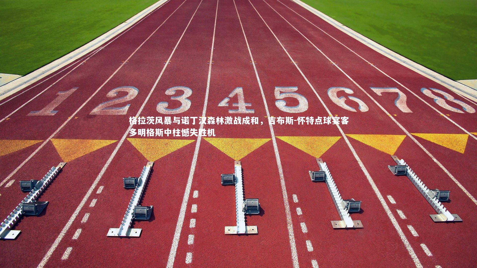 悟空体育app|格拉茨风暴与诺丁汉森林激战成和，吉布斯-怀特点球宴客多明格斯中柱憾失胜机